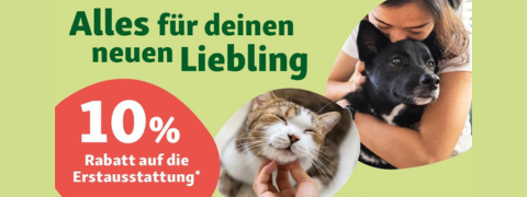 Willkommen, Katzenfreunde: Sichern Sie sich 10% Nachlass auf Erstausstattung für Ihre Fellnase