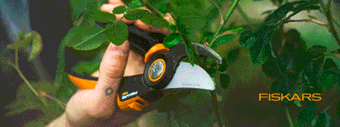 FISKARS Gartenwerkzeuge kaufen, Prämie erhalten | OBI Angebote FISKARS Gartenwerkzeuge kaufen, Prämie erhalten | OBI Angebote