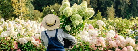 Bis zu 10% eBay Gutscheincode auf Garten Pflanzen! Bis zu 10% eBay Gutscheincode auf Garten Pflanzen!